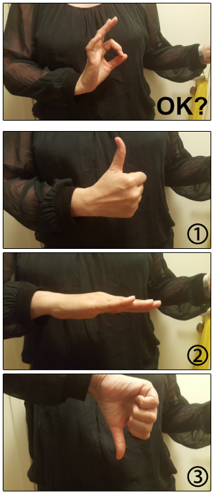 Fig. 2: OK Check-In Hand-Signs